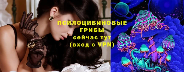 дживик Армянск
