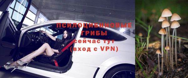 бошки Арсеньев