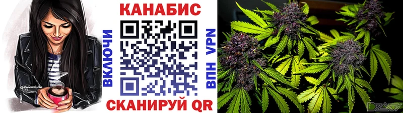 наркотики  Пущино  Шишки марихуана сатива 